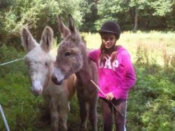 centre tourisme equestre