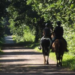 022