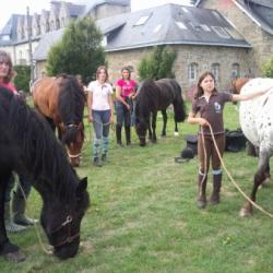 Arrivée au château